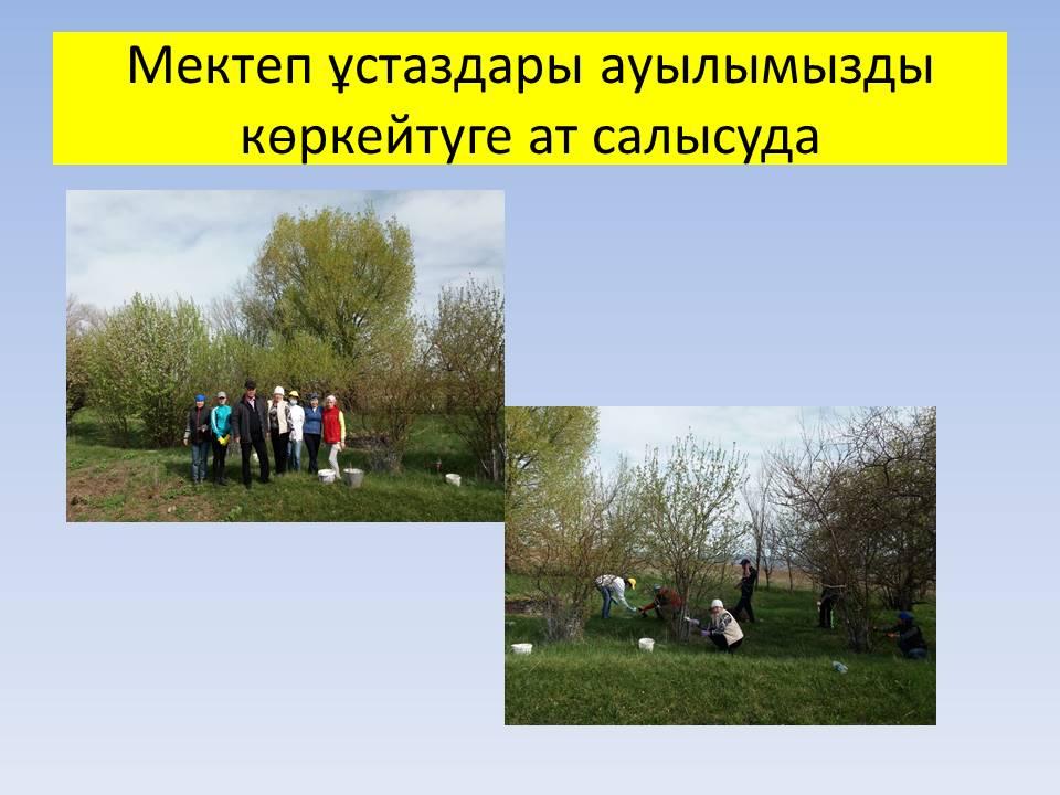 Біз туралы